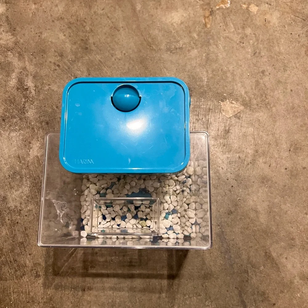Petco beta fish tanks